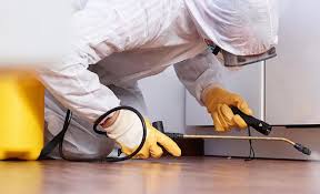 Best Real Estate Pest Inspections  in Avalon, NJ